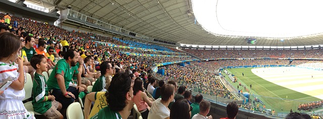 来自韩国