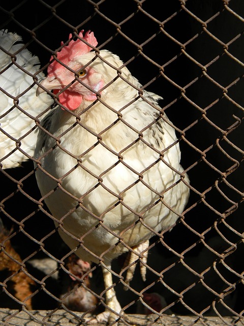 成功打破对 成功打破对