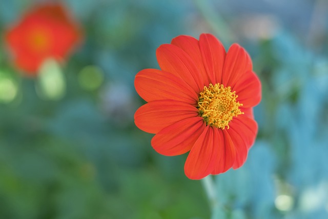 决策仍是不 决策仍是不