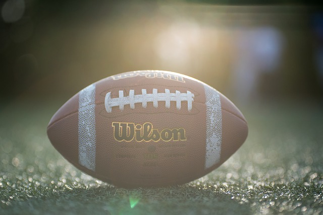 他不仅是一 他不仅是一