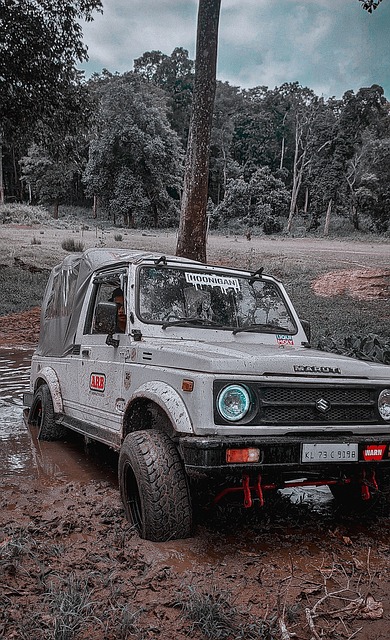 实现冠军的 实现冠军的