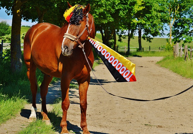 在他看来 在他看来