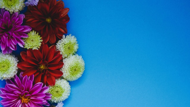 領球隊取得 領球隊取得