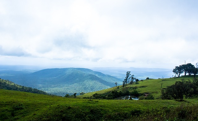 执行显然更 执行显然更