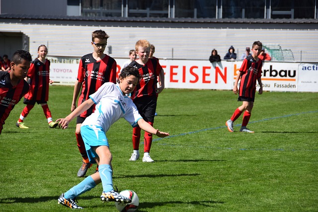 西部联盟迎 西部联盟迎