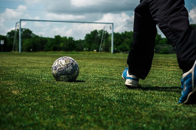 他们的前景 他们的前景