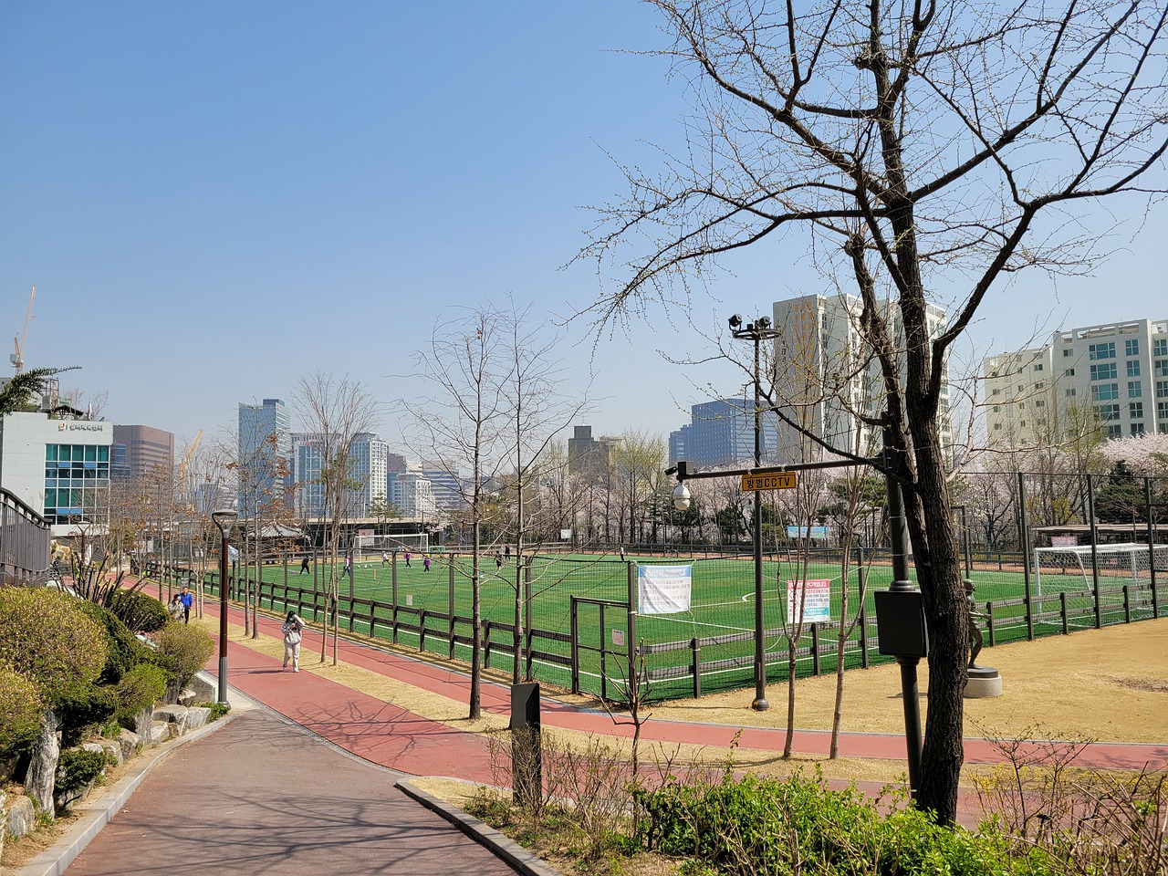 不仅为球迷 不仅为球迷