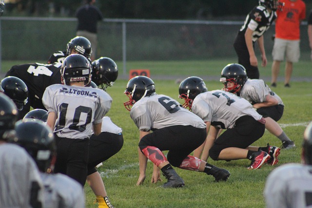 国羽毛球的 国羽毛球的