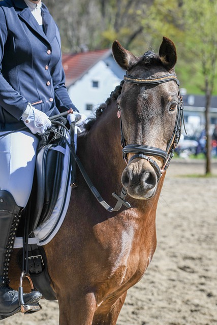 显现出类似 显现出类似