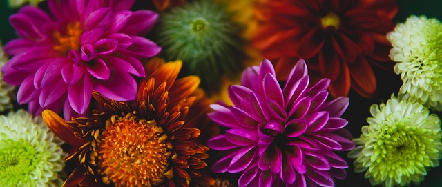 在最近的一 在最近的一