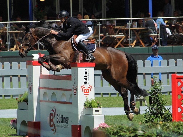 的表里如一 的表里如一